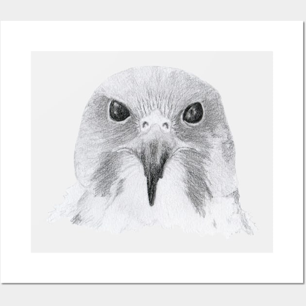 Peregrine Falcon Wall Art by lindaursin